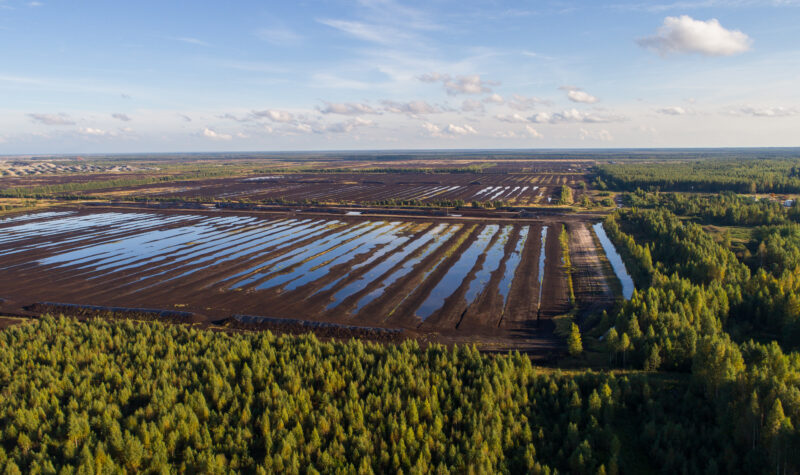 The role of businesses in protecting and restoring peatlands